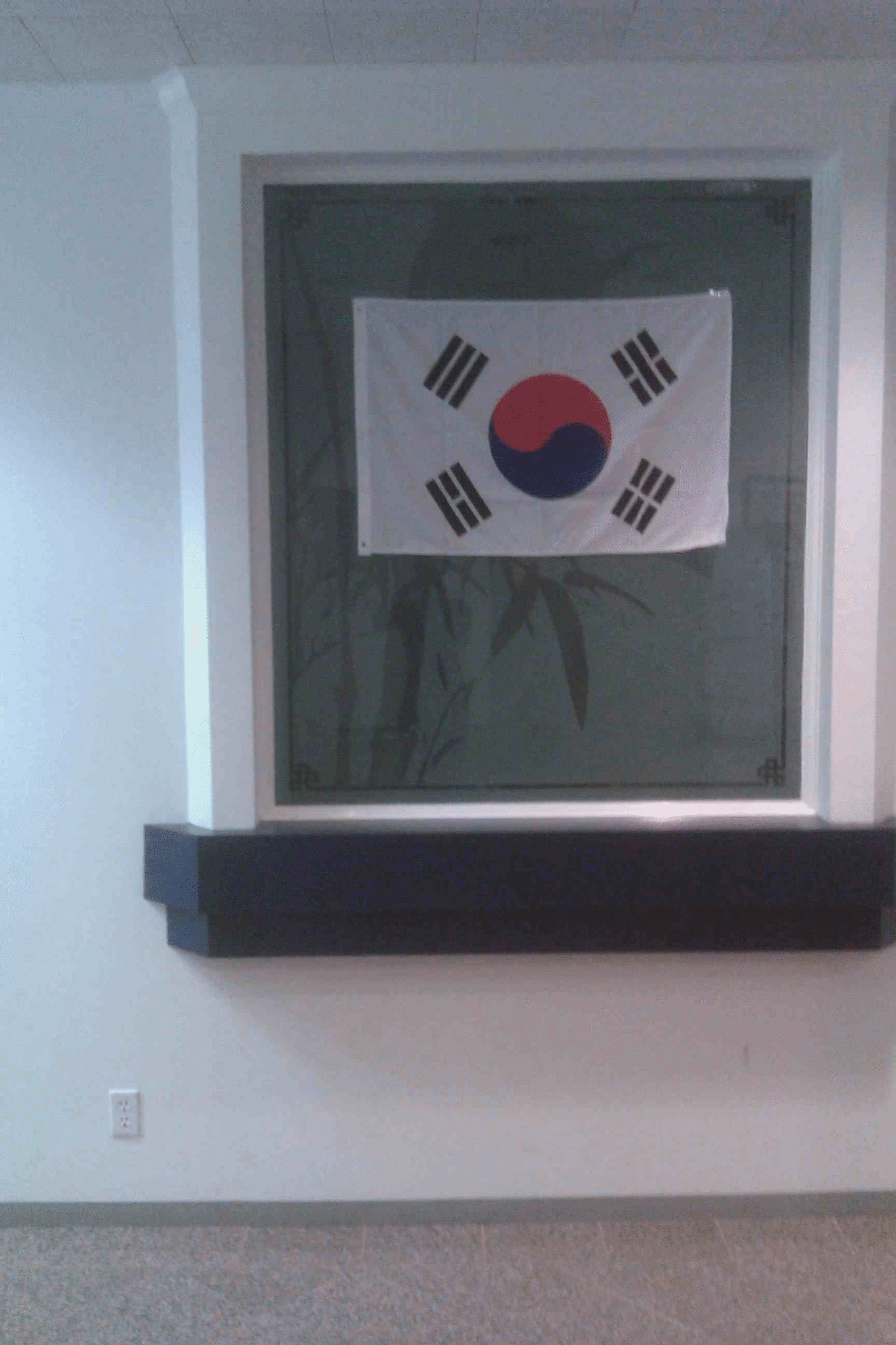Taegukgi(The Flag of South Korea) Hung in Foreign Organization